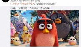 爆料视频动画片在线观看,独家爆料视频带你在线观看